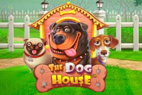 The Dog House